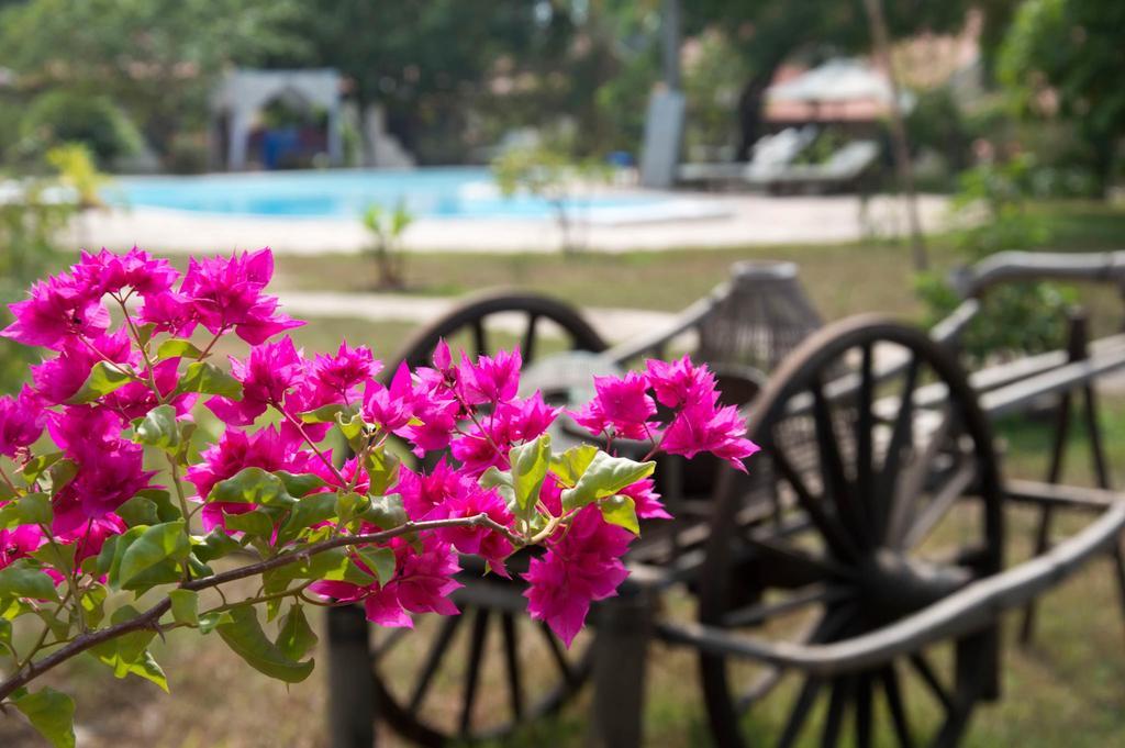 Le Flamboyant Resort แกบ ภายนอก รูปภาพ