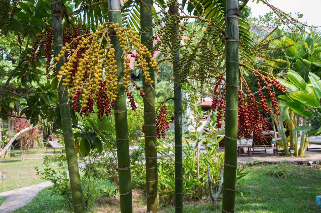 Le Flamboyant Resort แกบ ภายนอก รูปภาพ