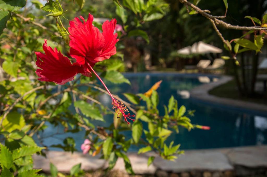 Le Flamboyant Resort แกบ ภายนอก รูปภาพ